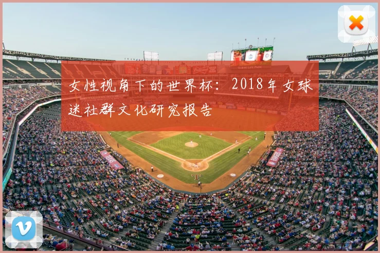 女性视角下的世界杯:2018年女球迷社群文化研究报告
