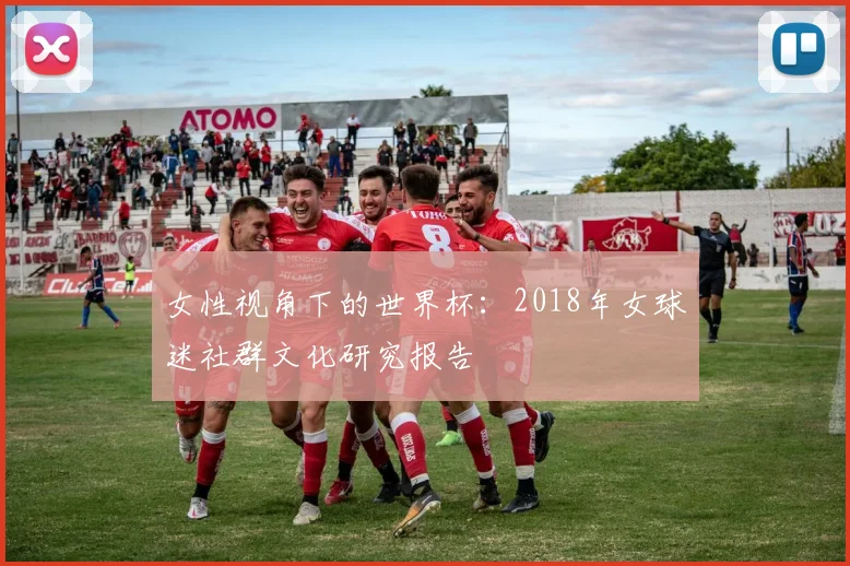 女性视角下的世界杯:2018年女球迷社群文化研究报告