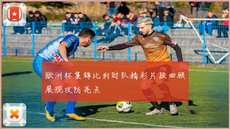 欧洲杯集锦比利时队精彩片段回顾展现攻防亮点